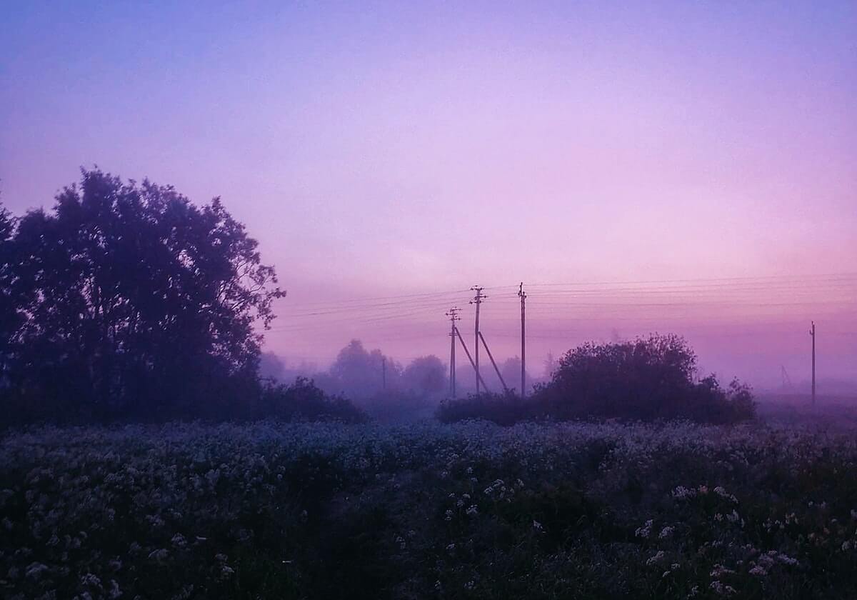 网红在深夜遭遇爆料 窒息,51爆料全网炸锅,详情围观,网红爆发